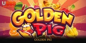 Golden Pig
